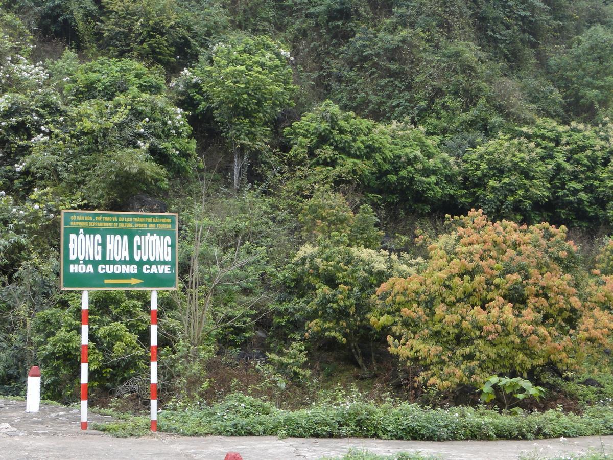 Anh Thuan Hotel 1 Cat Ba Island Exterior foto